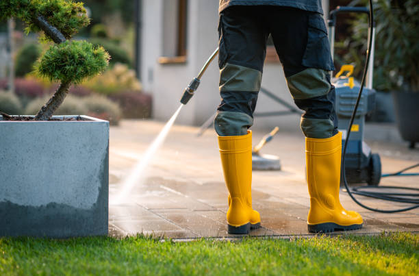 Best Roof Power Washing Services  in Dry Ridge, OH